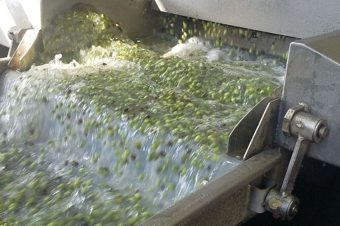 Wine, Olive Oil, and Honey Tour with Winemaker - The morning pickup and drive into the mountains
