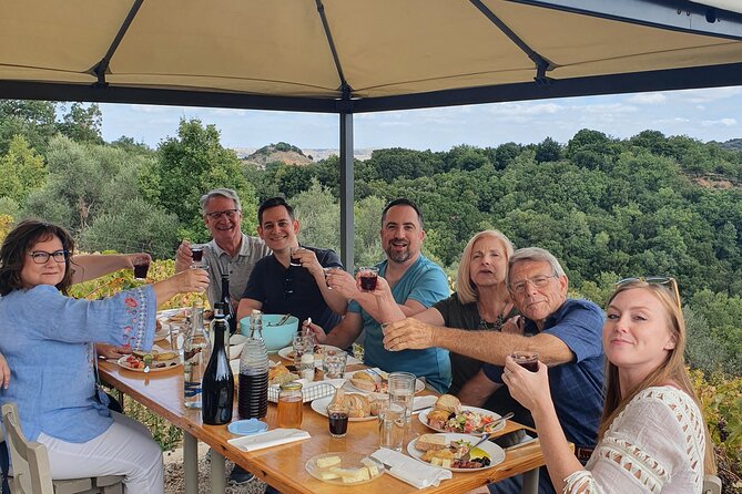 Wine, Olive Oil, and Honey Tour with Winemaker - Honey, bees, and the sweet side of the farm