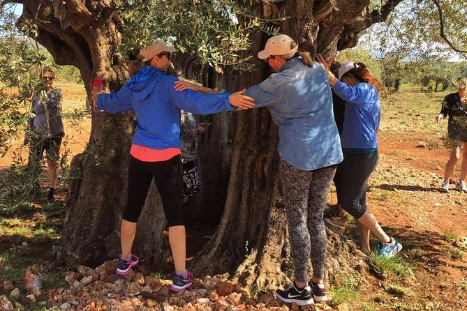 WIne & Olive Oil Tasting in an Organic Farm in Laconia, Greece! - Is $590.38 Per Person Good Value?