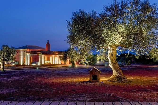 WIne & Olive Oil Tasting in an Organic Farm in Laconia, Greece! - The Optional Sparta Olive Oil Museum