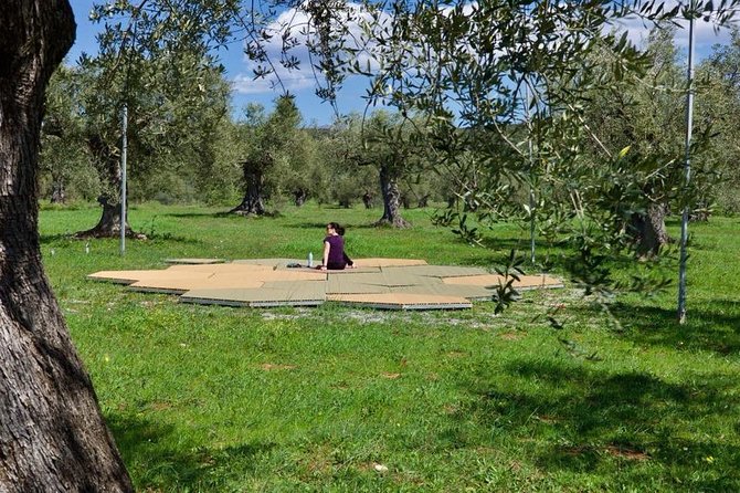 WIne & Olive Oil Tasting in an Organic Farm in Laconia, Greece! - Who Will Enjoy This Best?