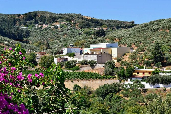 Wine & Olive Oil tasting one day private tour in Crete - Chania’s old city and market
