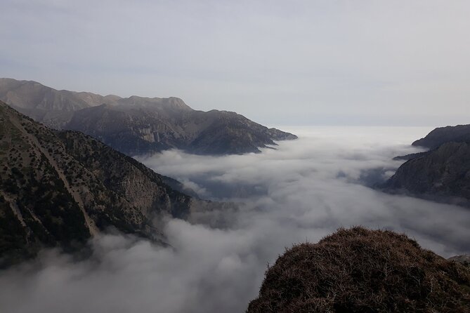 Wine & Olive Oil Tour with lunch at the White Mountains - Crossing the Sebronas Gorge in a 4WD