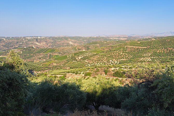 Wine Raki Olive Oil Tasting and Pottery - Private Tour - Is $144.35 good value?