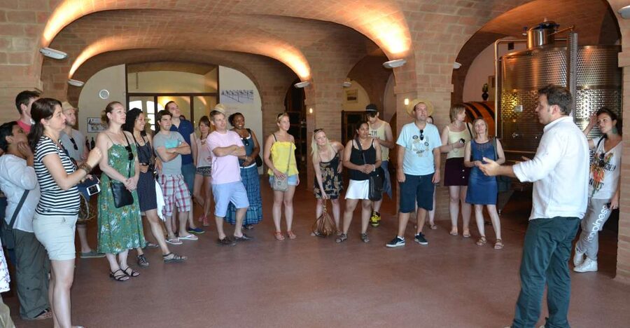 Wine tasting tour with olive oil and salami - Sangiovese di Romagna in the glass