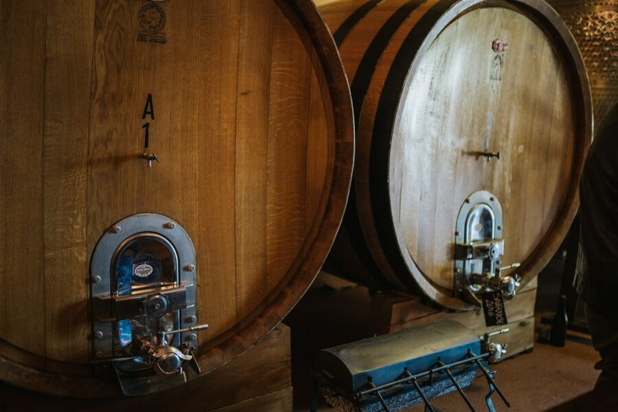 Wine tasting tour with olive oil and salami - Rimini olive oil with bruschetta
