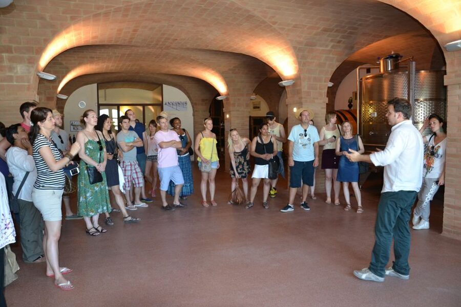 Wine tasting tour with olive oil and salami - Dessert and the sense of a full Italian snack