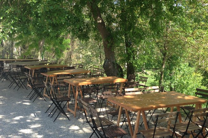 Winery tour with Wine and Olive tasting in Corfu - What happens inside the winery and cellar