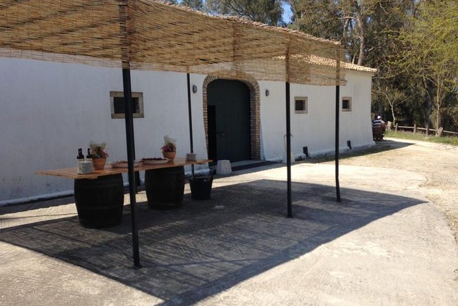 Winery tour with Wine and Olive tasting in Corfu - Tasting two organic wines