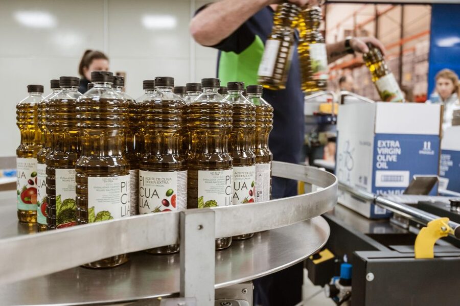 XXI Century Olive Oil Mill Tour - Why Picualia Makes a Good Olive Oil Stop