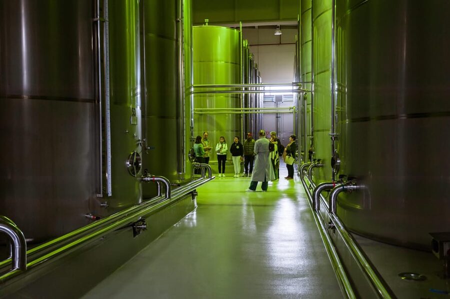 XXI Century Olive Oil Mill Tour - A Mill Designed as More Than a Factory