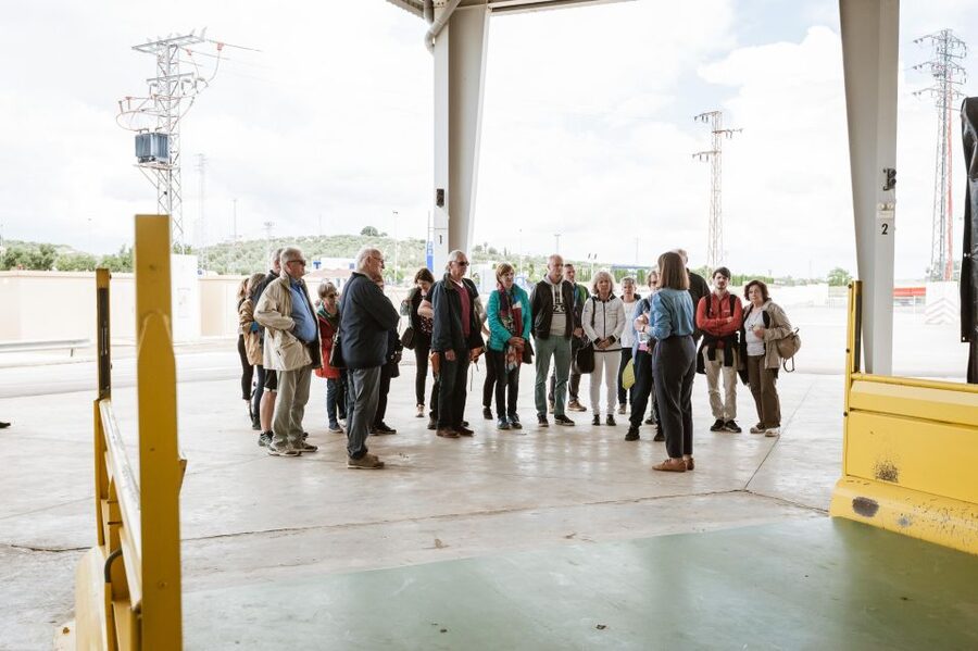 XXI Century Olive Oil Mill Tour - What the Guide Adds to the Experience