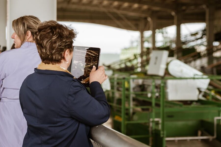 XXI Century Olive Oil Mill Tour - From Olive Reception to Bottling