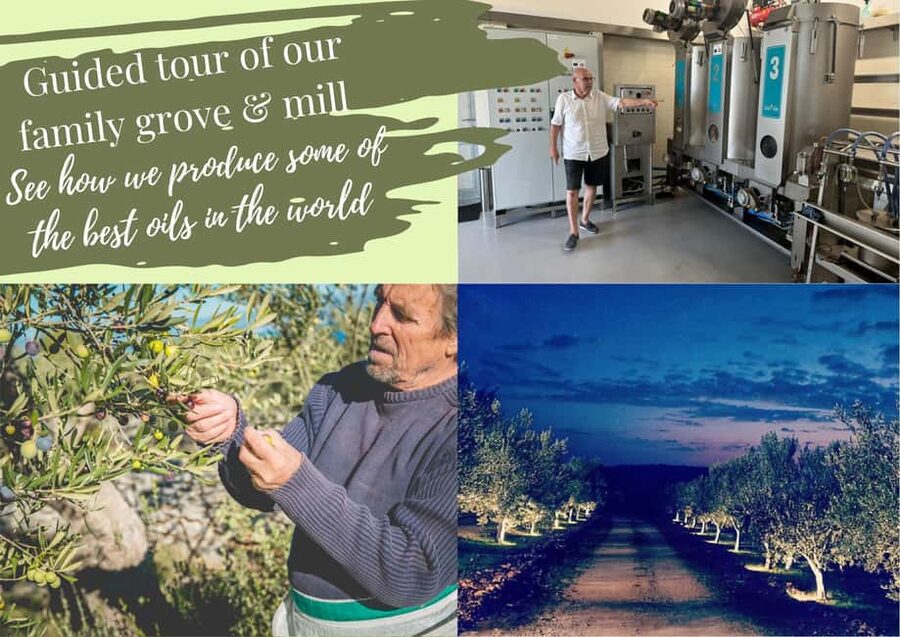 Zadar, Šibenik: olive oil, wine & food tasting, Self Drive - Local food, from small bites to a €20 buffet